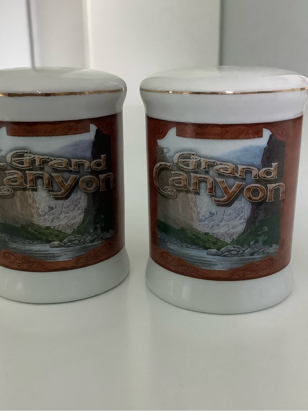 Grand Canyon Souvenir Ceramic Salt & Pepper Shakers in White with Brown Accents